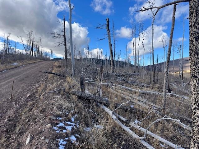 Lot 2397 Petito Drive Fort Garland CO 81133