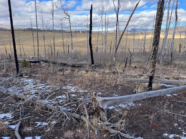 Lot 2397 Petito Drive Fort Garland CO 81133