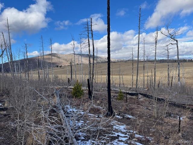 Lot 2397 Petito Drive Fort Garland CO 81133