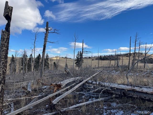 Lot 2397 Petito Drive Fort Garland CO 81133