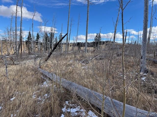 Lot 2397 Petito Drive Fort Garland CO 81133