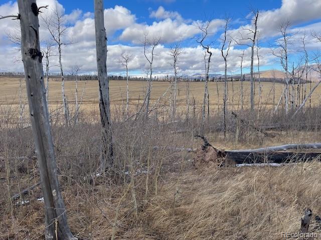 Lot 2397 Petito Drive Fort Garland CO 81133