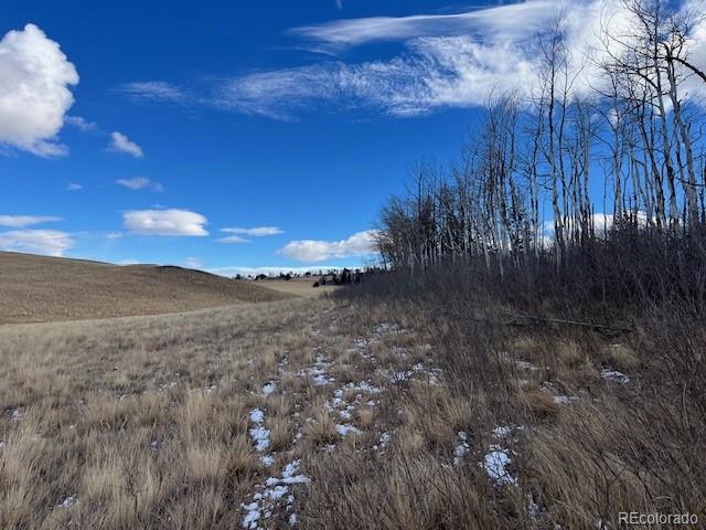 Lot 2397 Petito Drive Fort Garland CO 81133