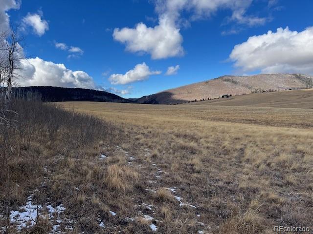 Lot 2397 Petito Drive Fort Garland CO 81133