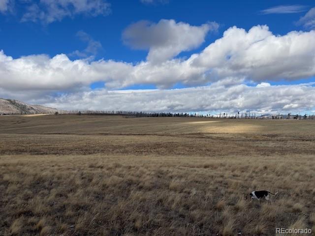 Lot 2397 Petito Drive Fort Garland CO 81133