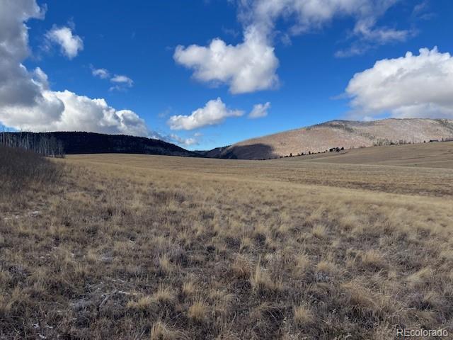 Lot 2397 Petito Drive Fort Garland CO 81133