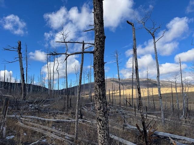 Lot 2397 Petito Drive Fort Garland CO 81133