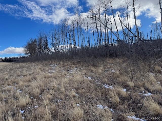 Lot 2397 Petito Drive Fort Garland CO 81133