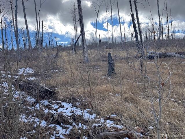 Lot 2397 Petito Drive Fort Garland CO 81133