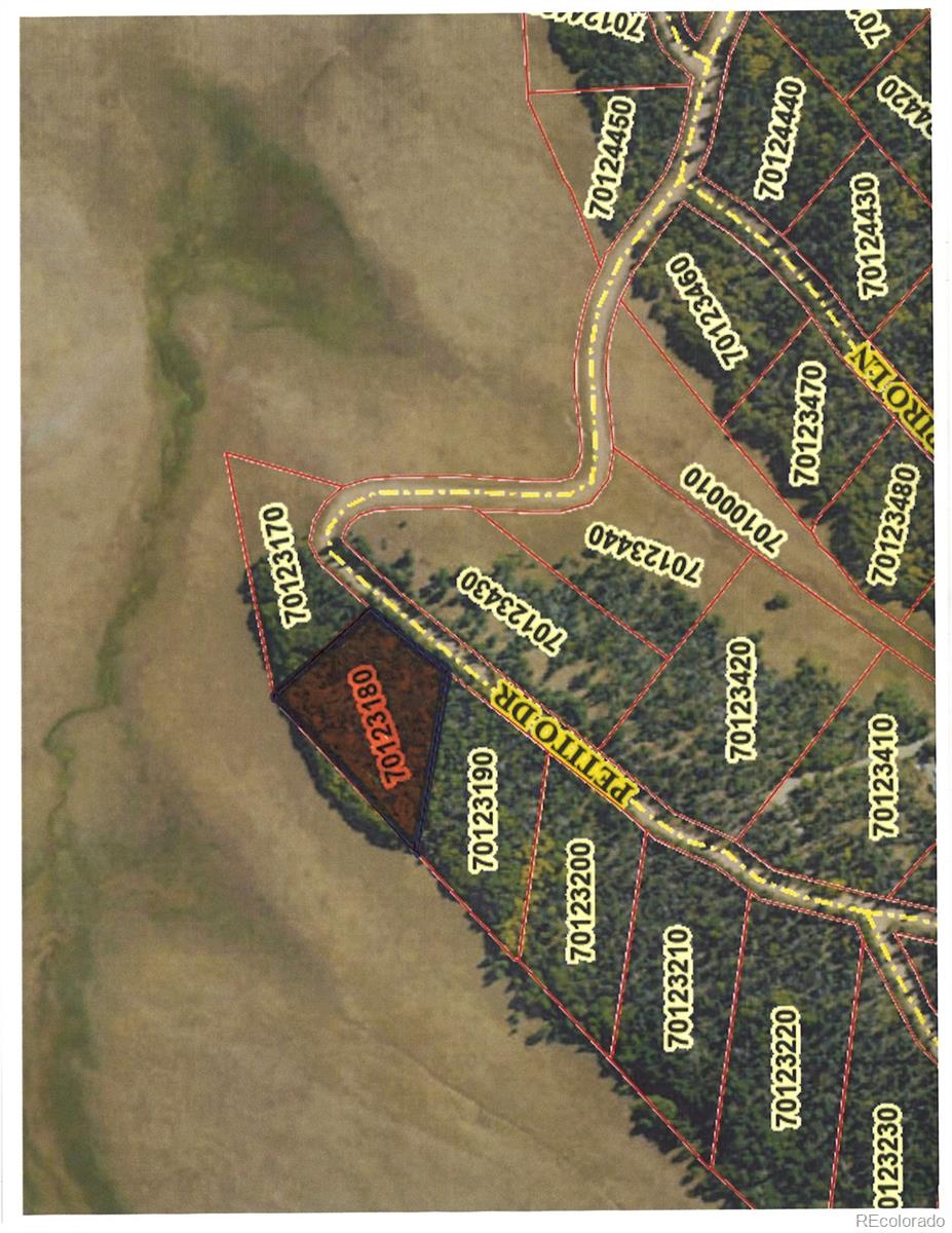 Lot 2397 Petito Drive Fort Garland CO 81133