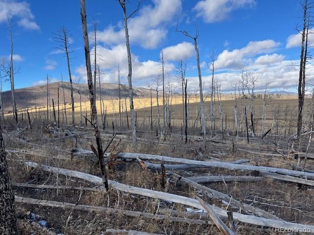 Lot 2397 Petito Drive Fort Garland CO 81133
