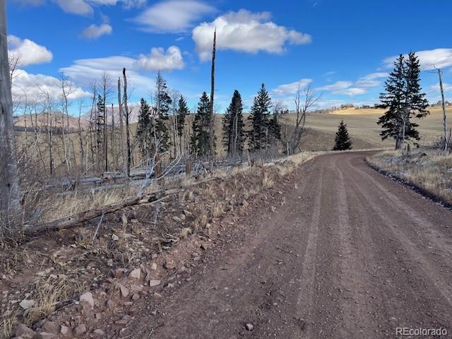 Lot 2397 Petito Drive Fort Garland CO 81133