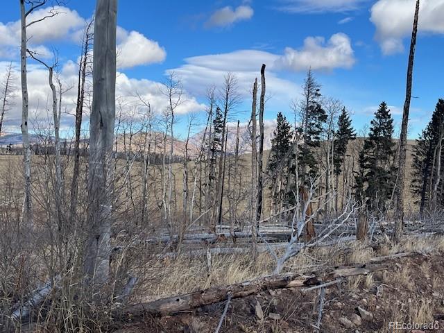 Lot 2397 Petito Drive Fort Garland CO 81133