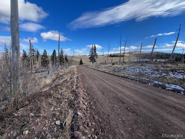 Lot 2397 Petito Drive Fort Garland CO 81133