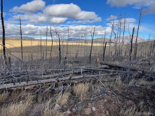 Lot 2397 Petito Drive Fort Garland CO 81133