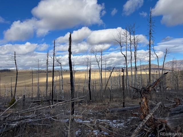 Lot 2397 Petito Drive Fort Garland CO 81133
