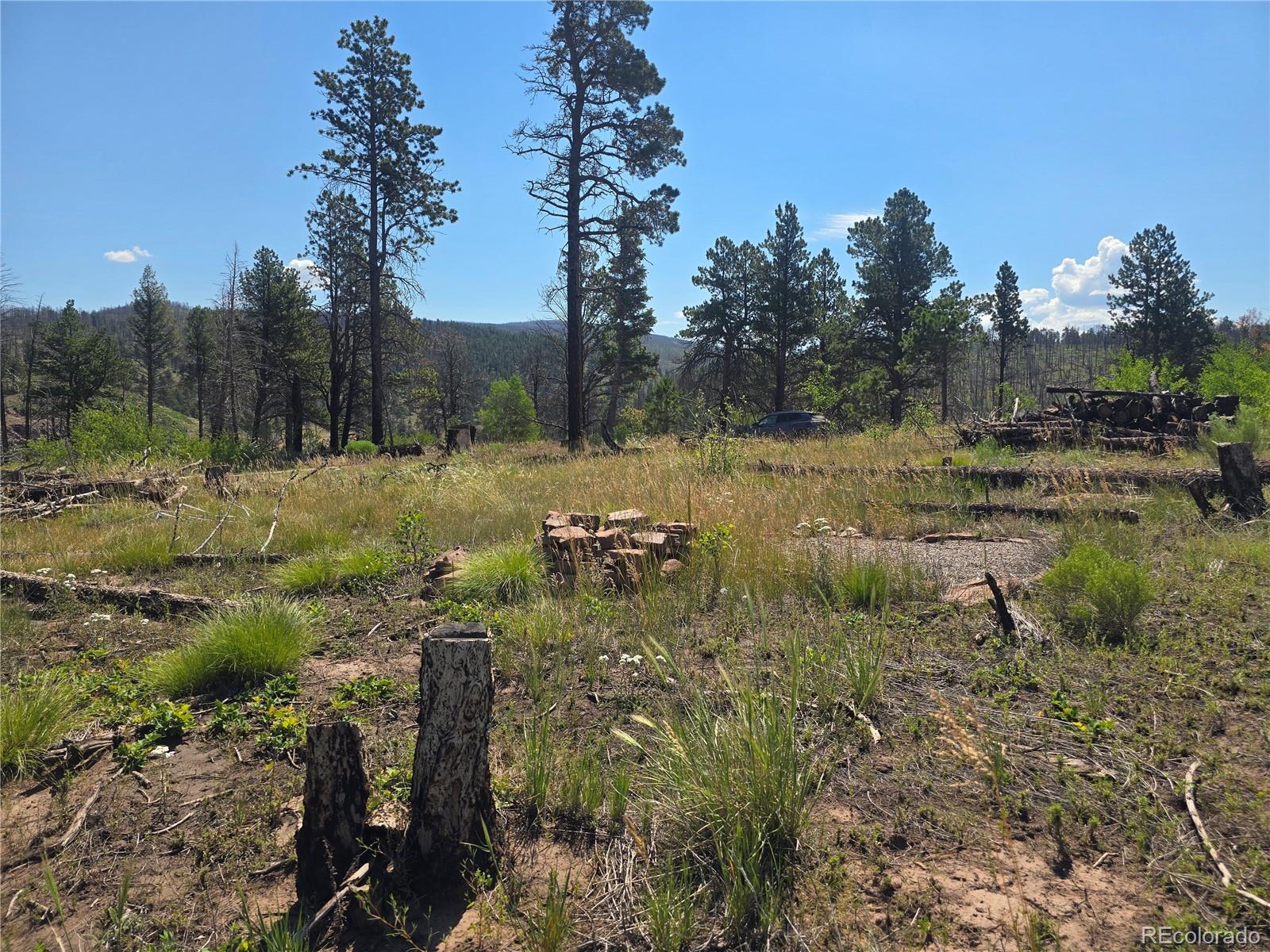 695 Cogbill Drive Fort Garland CO 81133
