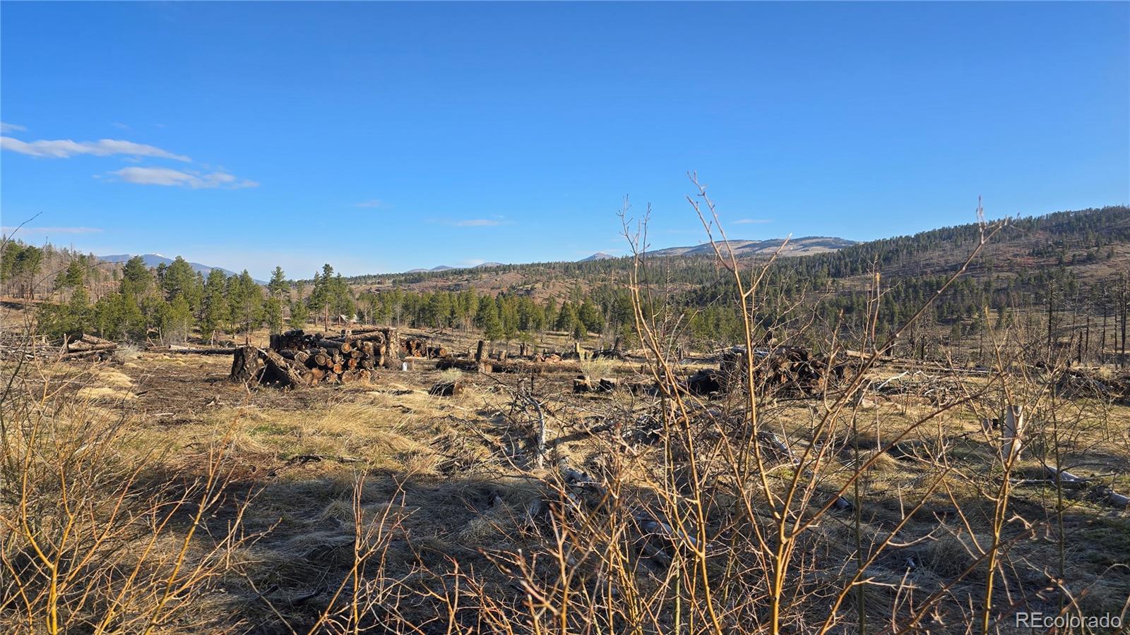 695 Cogbill Drive Fort Garland CO 81133