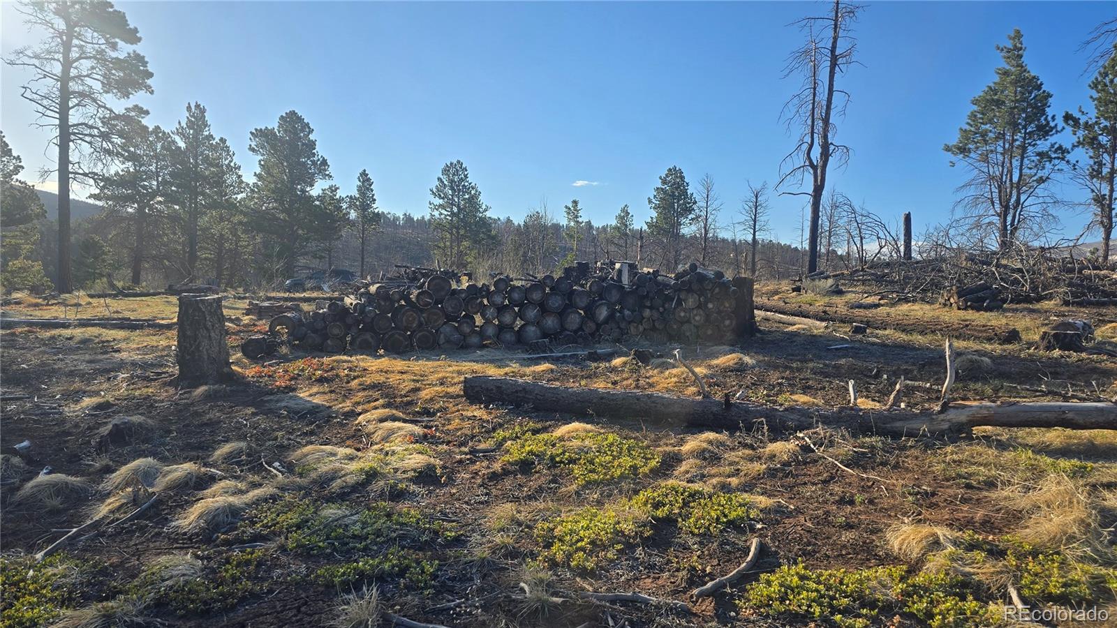 695 Cogbill Drive Fort Garland CO 81133
