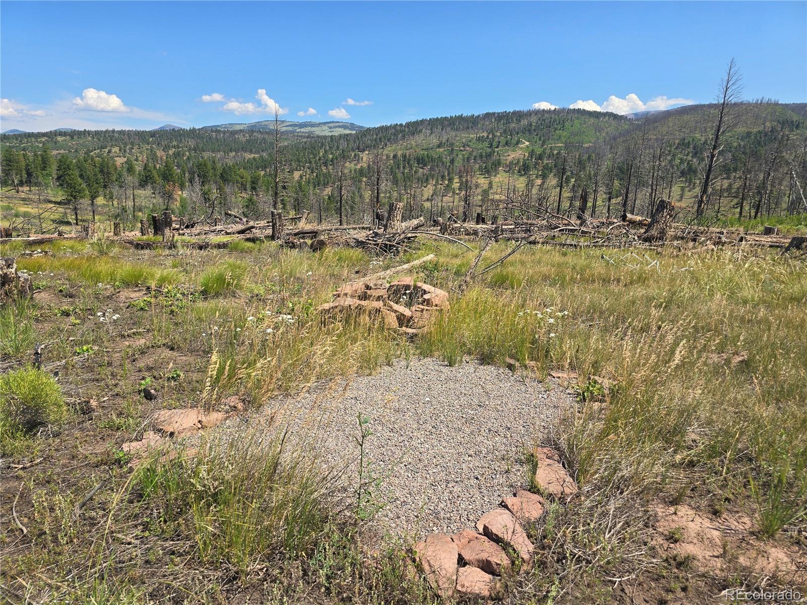 695 Cogbill Drive Fort Garland CO 81133