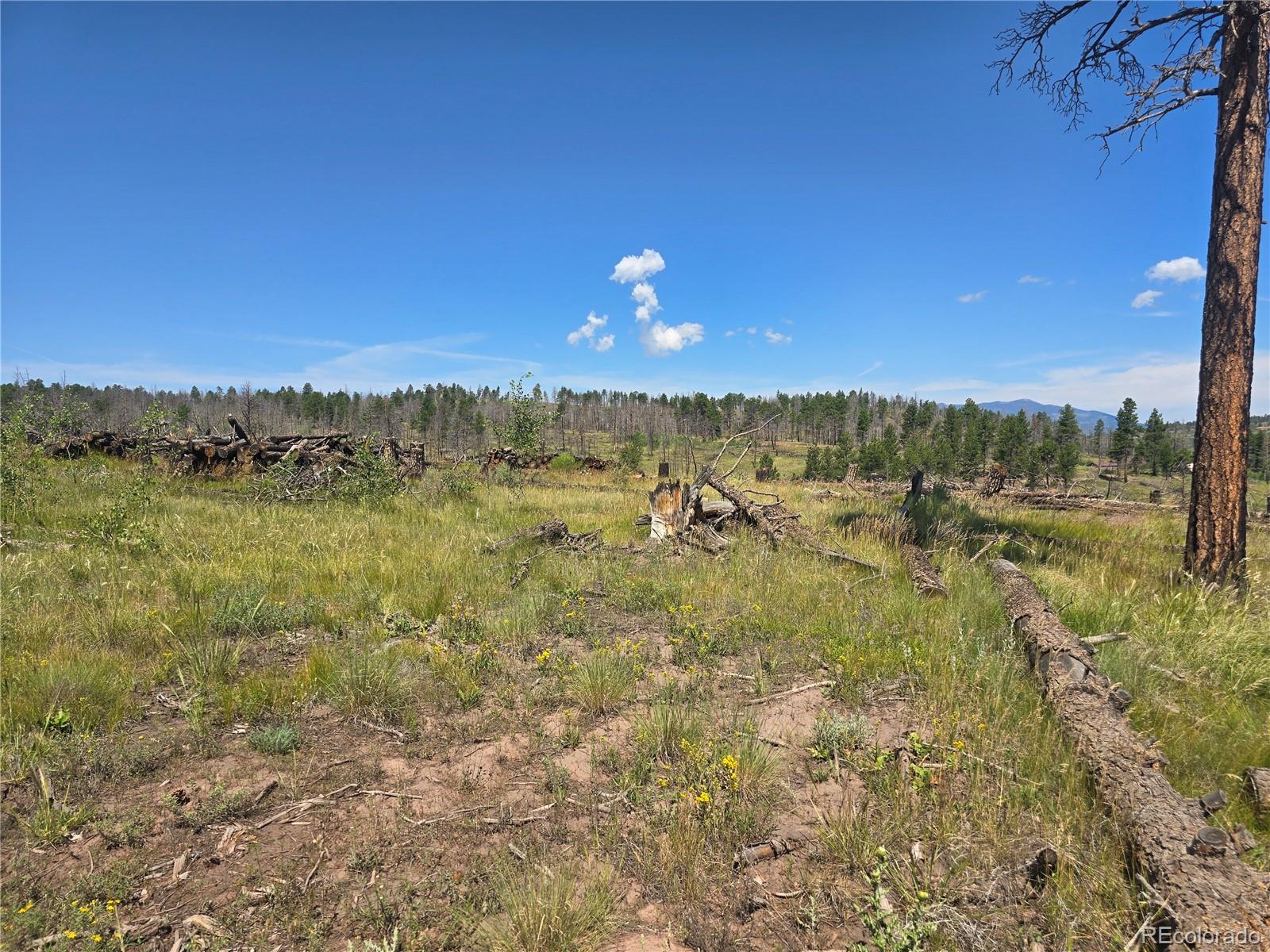 695 Cogbill Drive Fort Garland CO 81133