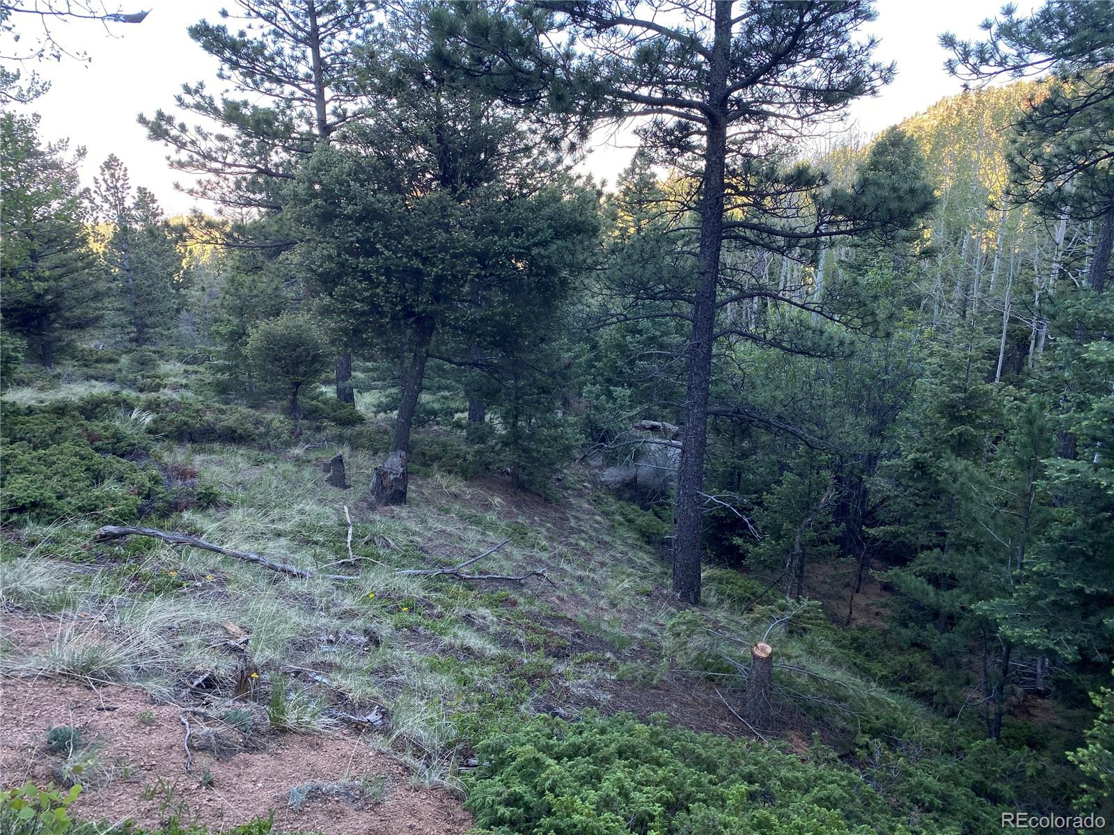 285 Forest Road Manitou Springs CO 80829