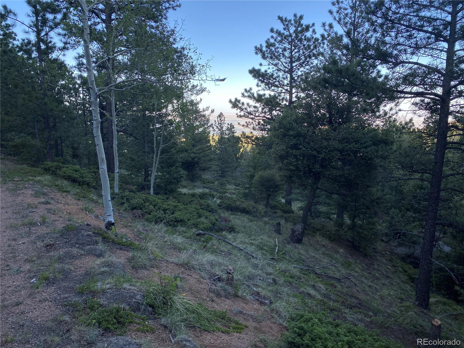 285 Forest Road Manitou Springs CO 80829