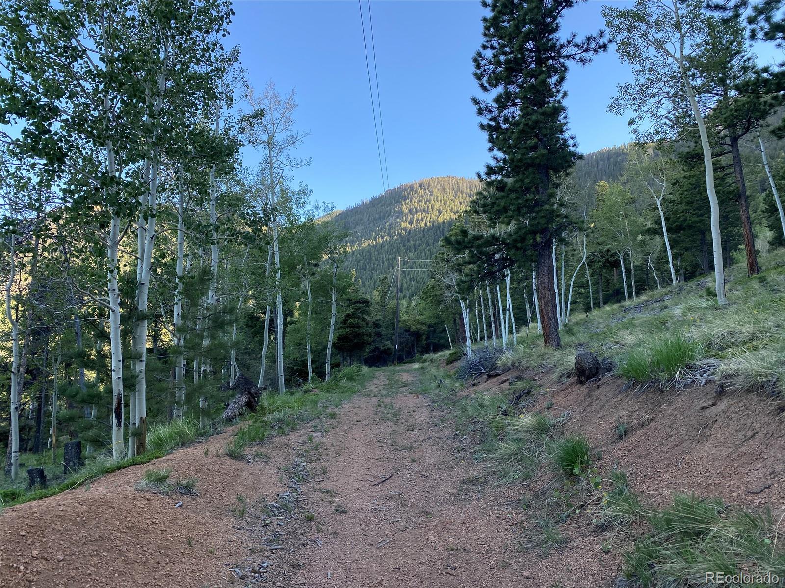 285 Forest Road Manitou Springs CO 80829