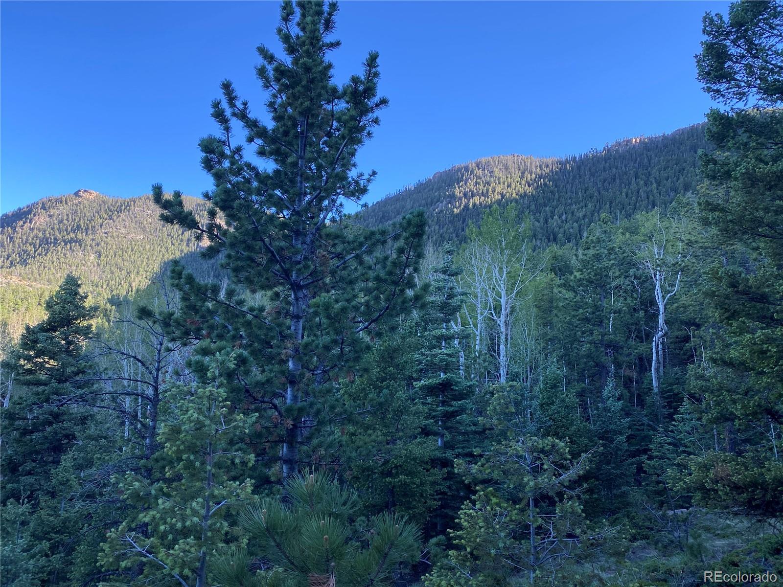 285 Forest Road Manitou Springs CO 80829