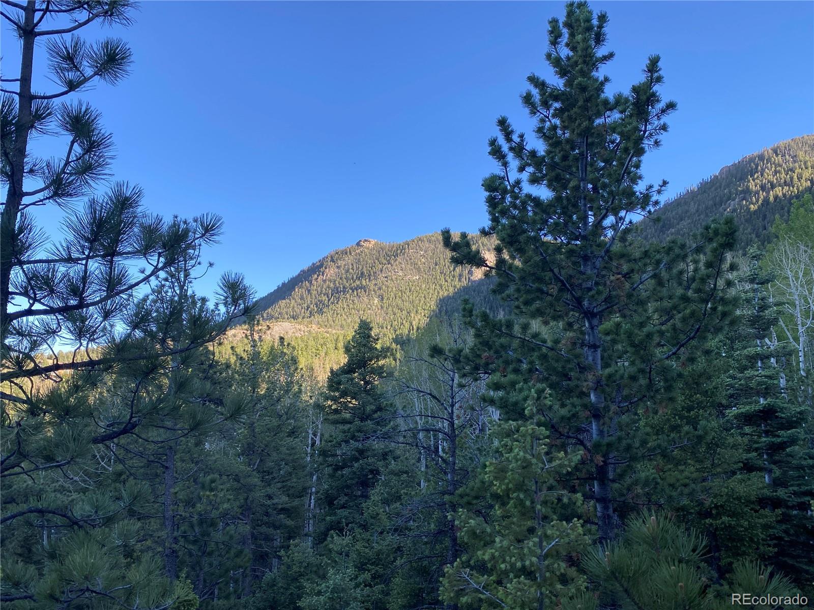 285 Forest Road Manitou Springs CO 80829