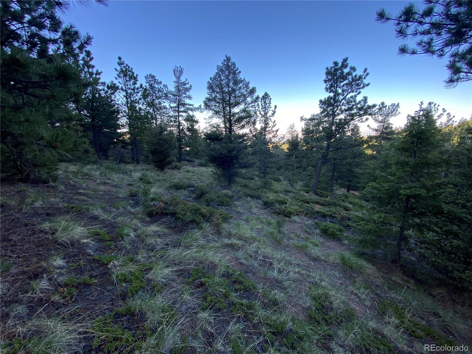 285 Forest Road Manitou Springs CO 80829