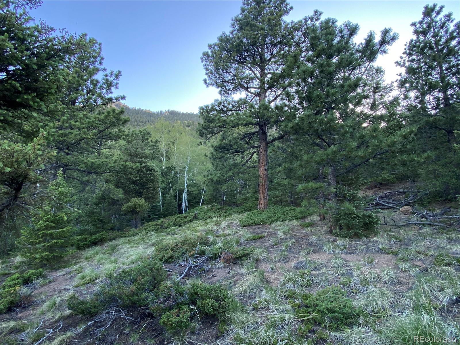 285 Forest Road Manitou Springs CO 80829