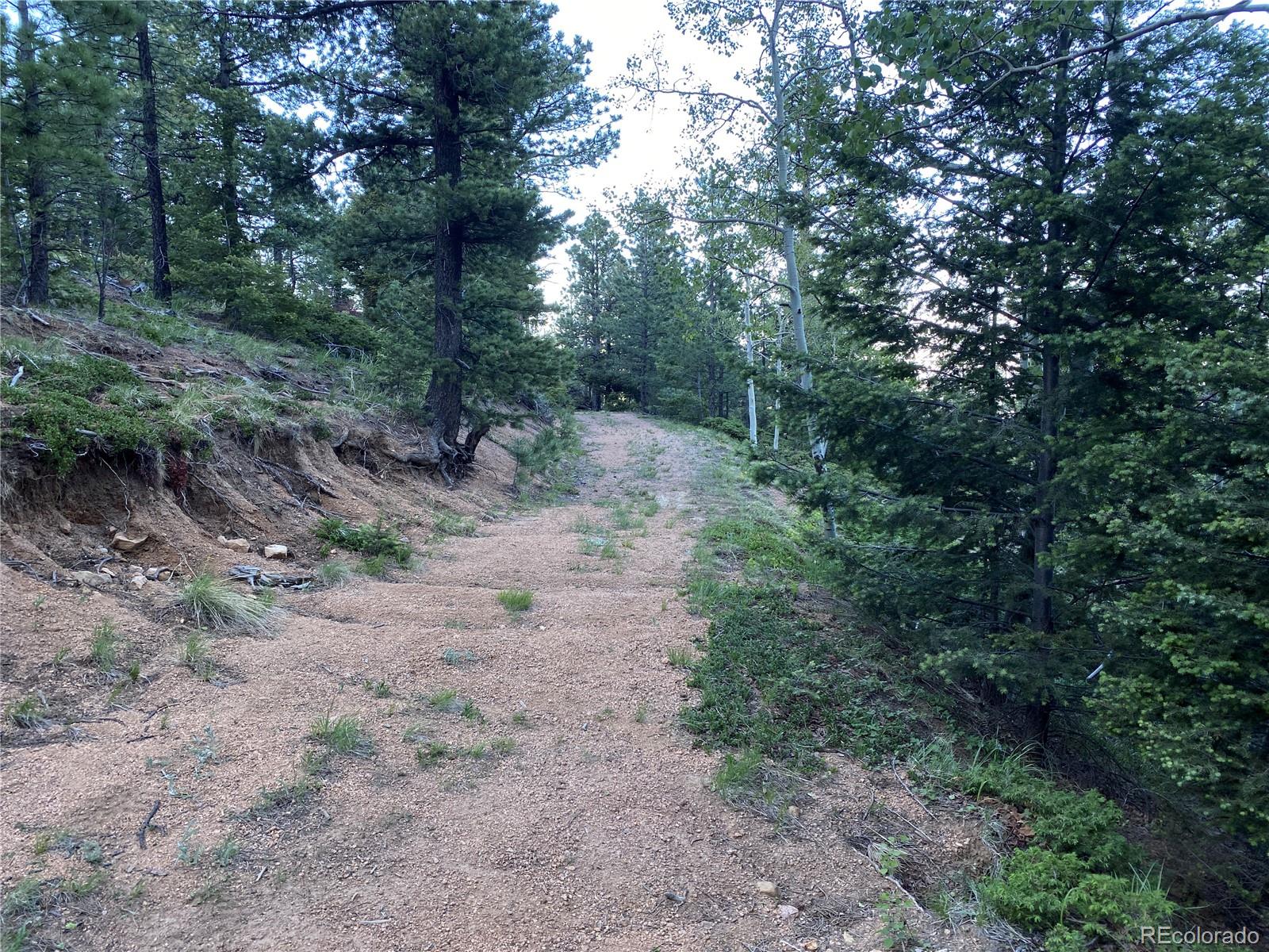 285 Forest Road Manitou Springs CO 80829