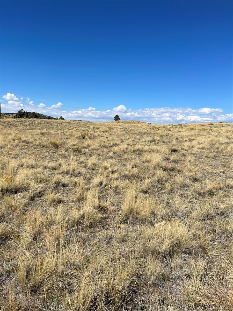 309 Castle Mountain Drive Florissant CO 80816