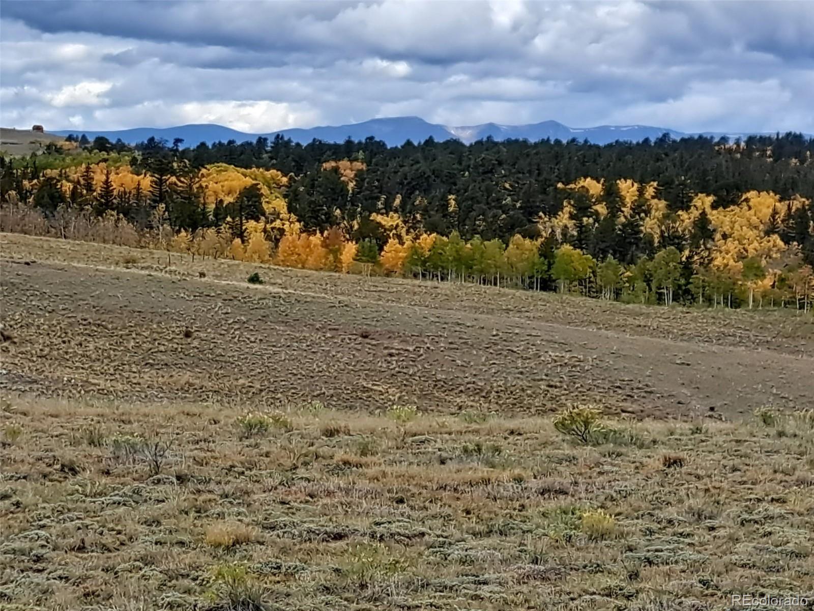 1825 Rhyolite Drive Como CO 80432