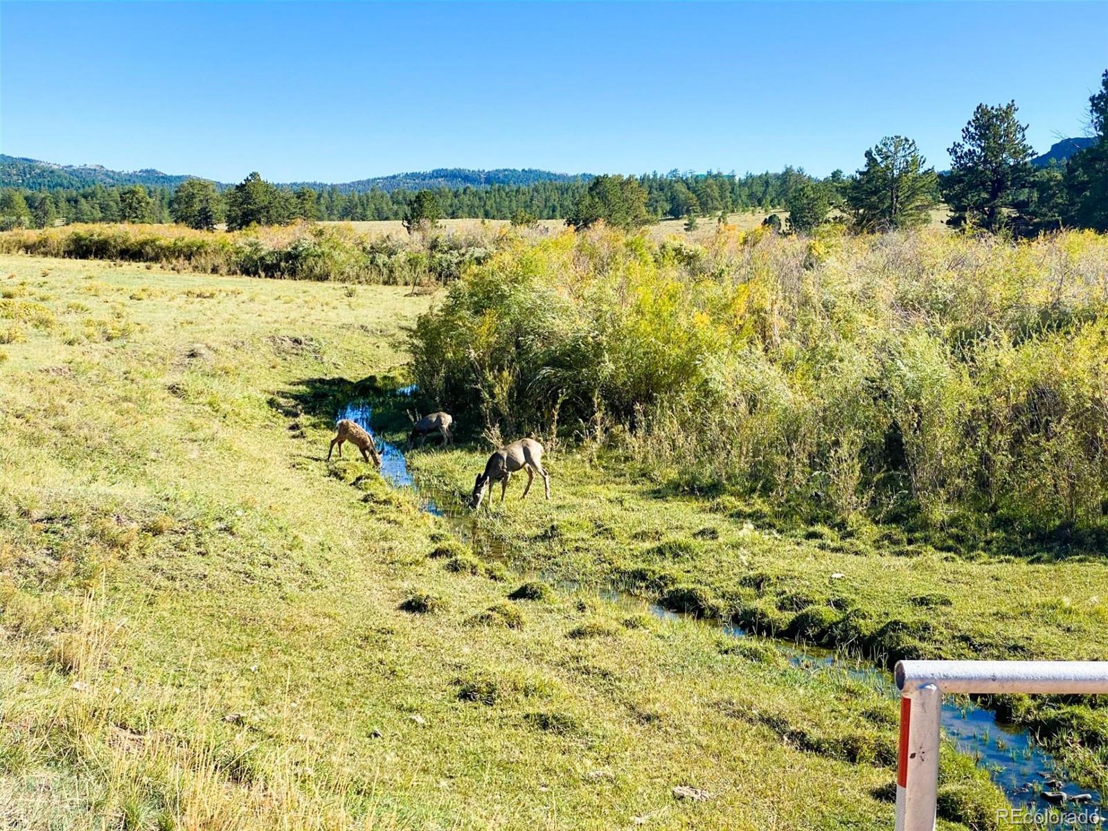 000 Rosebush Road Canon City CO 81212
