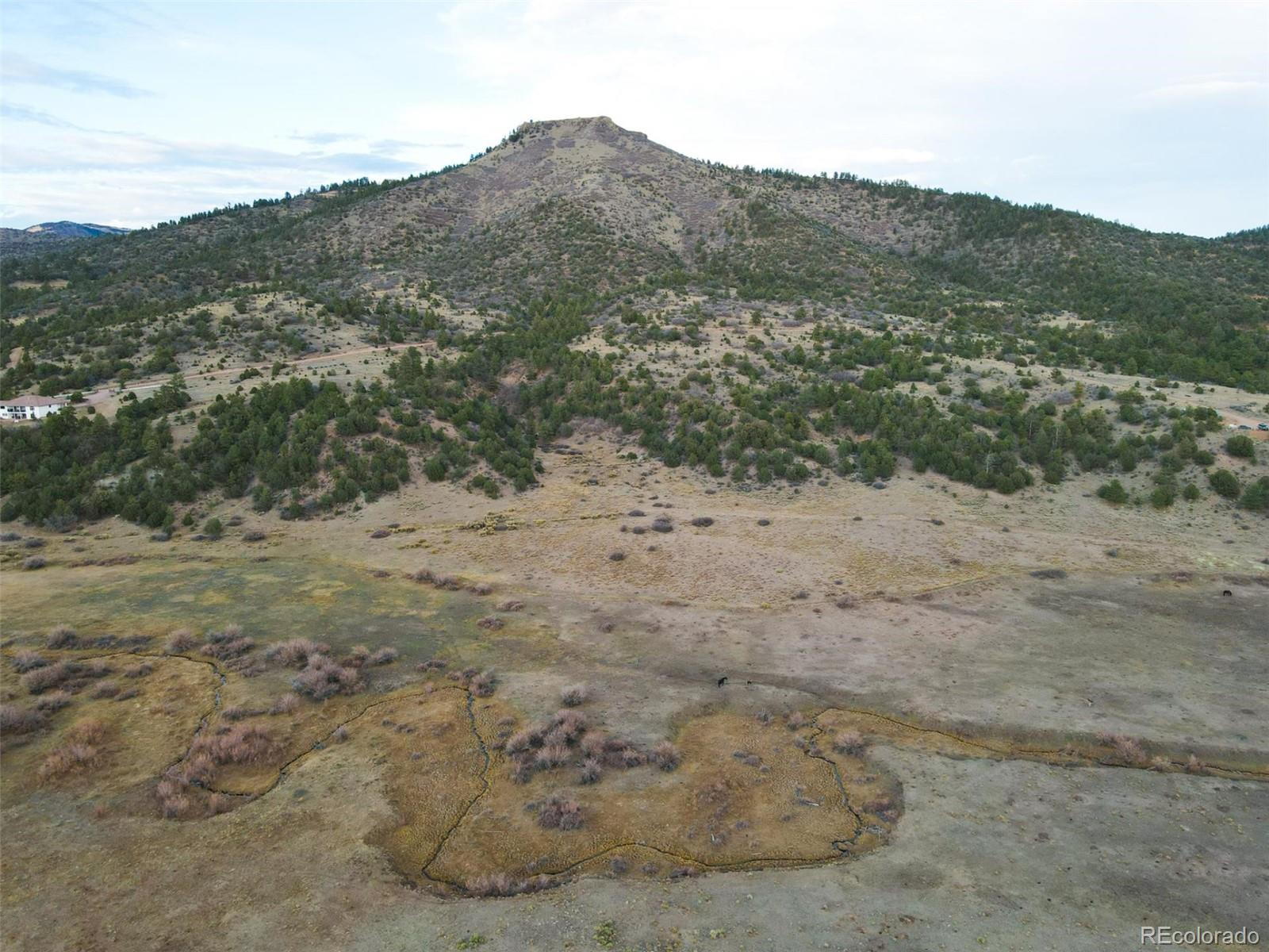 000 Rosebush Road Canon City CO 81212