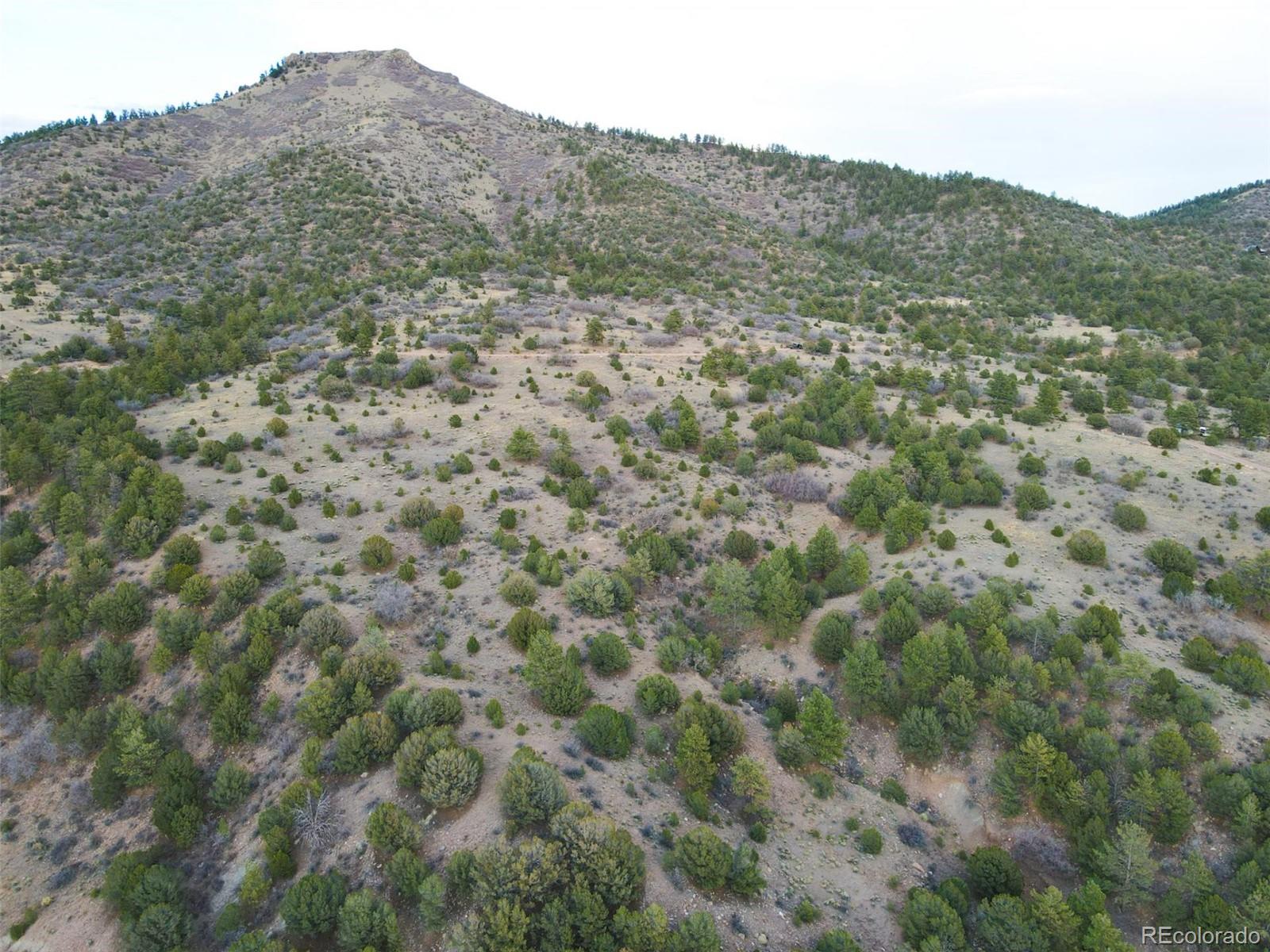 000 Rosebush Road Canon City CO 81212