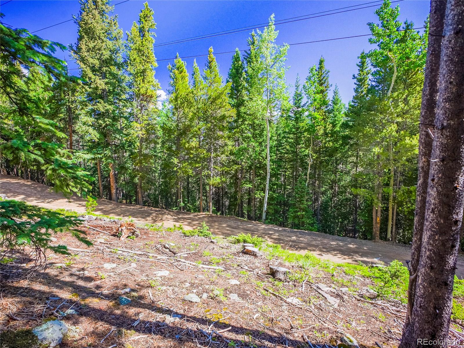 00 Valley View Drive Idaho Springs CO 80452