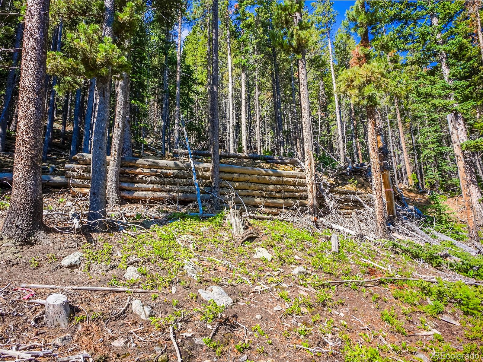 00 Valley View Drive Idaho Springs CO 80452