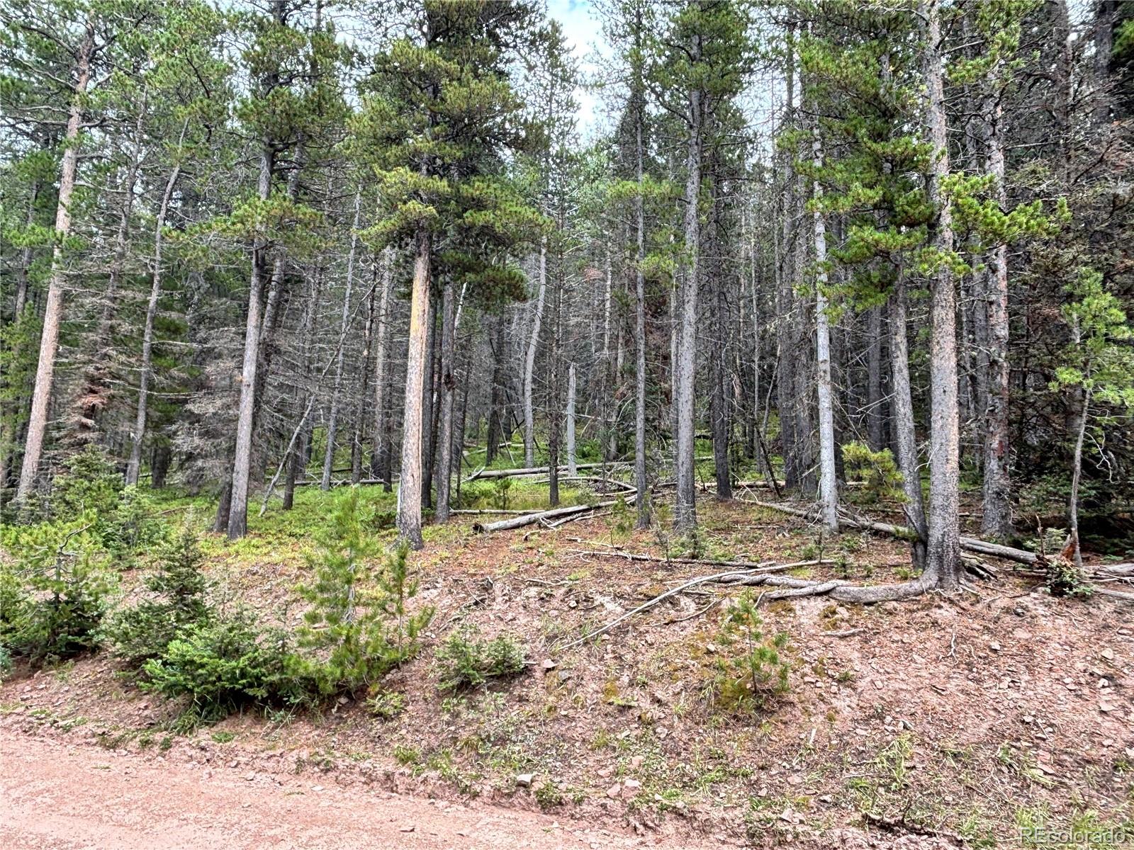 00 Moir Drive Fort Garland CO 81133