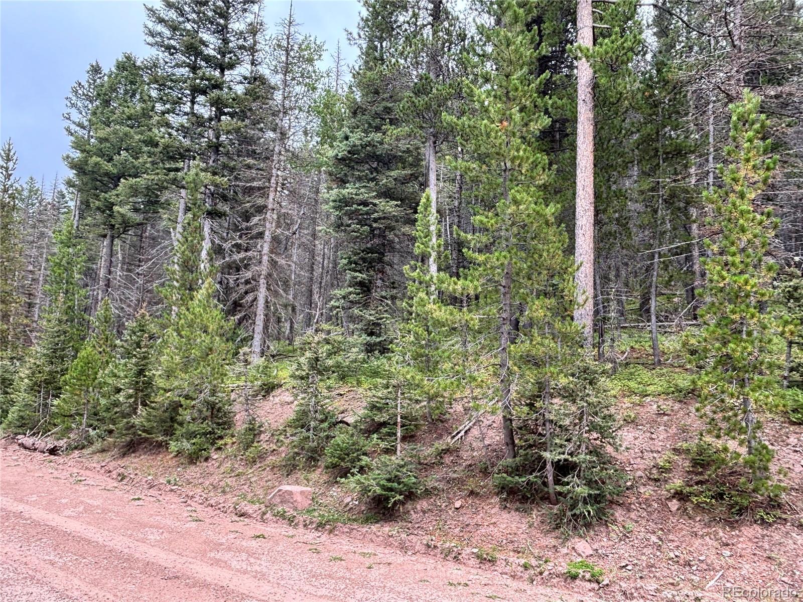 00 Moir Drive Fort Garland CO 81133