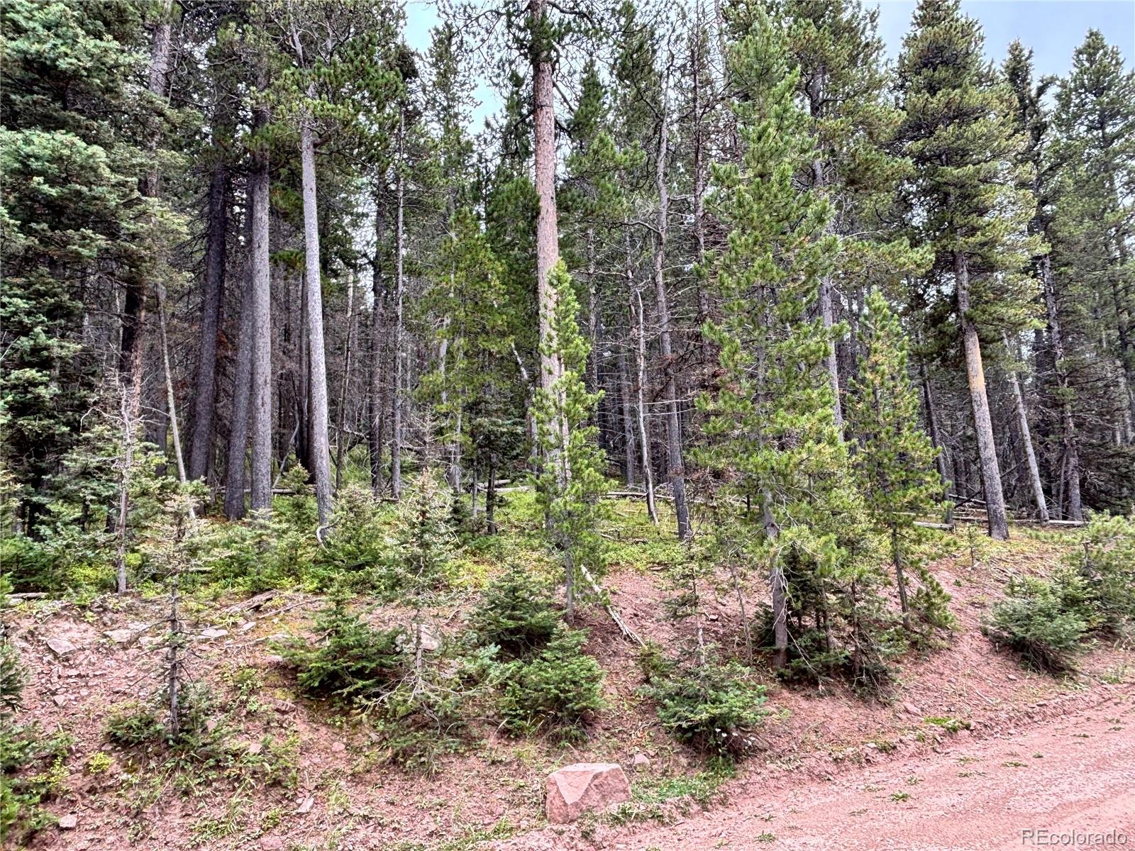 00 Moir Drive Fort Garland CO 81133