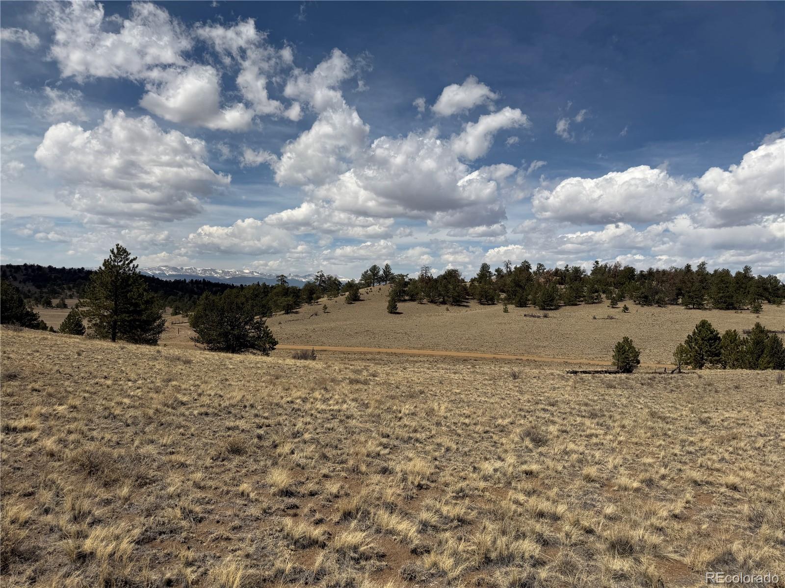 2839 Fitzsimmons Road Hartsel CO 80449
