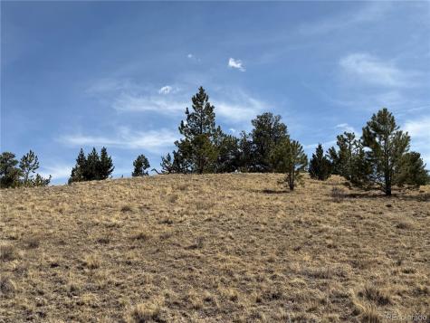 2839 Fitzsimmons Road Hartsel CO 80449