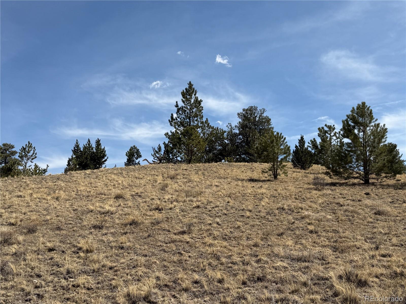 2839 Fitzsimmons Road Hartsel CO 80449