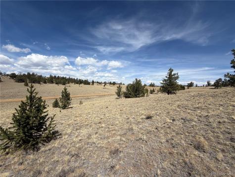 2839 Fitzsimmons Road Hartsel CO 80449