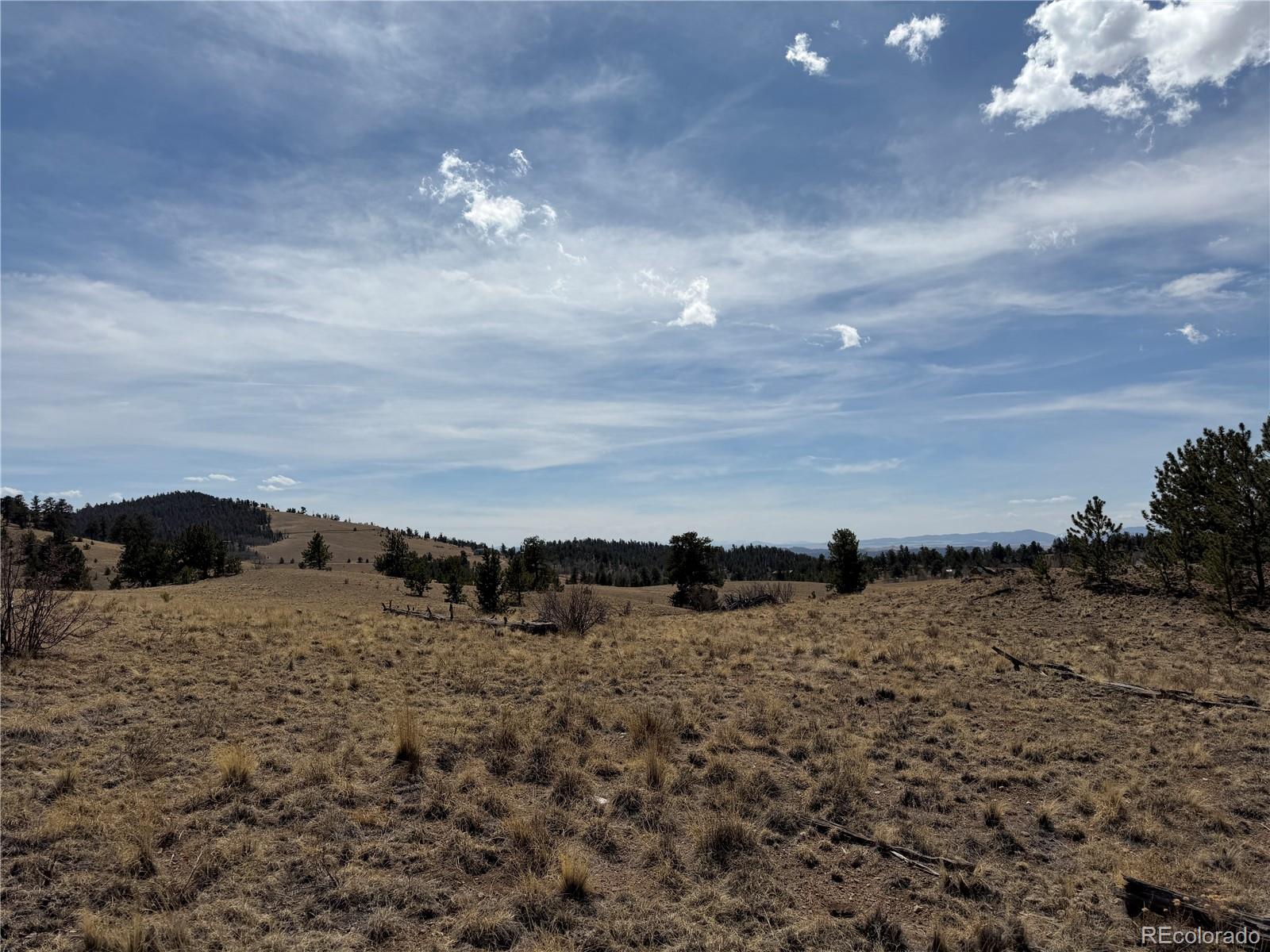 2839 Fitzsimmons Road Hartsel CO 80449