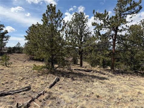 2839 Fitzsimmons Road Hartsel CO 80449