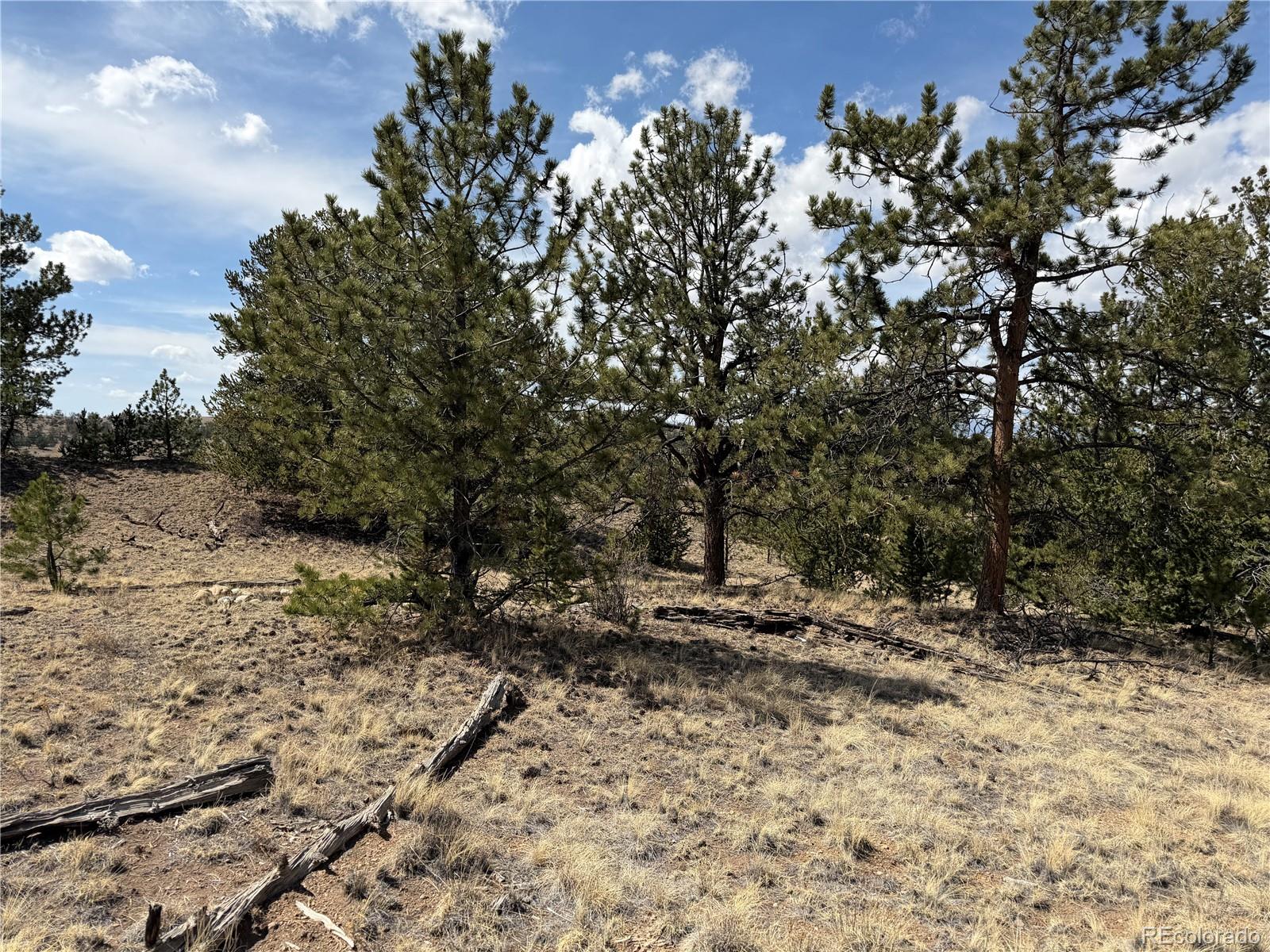 2839 Fitzsimmons Road Hartsel CO 80449